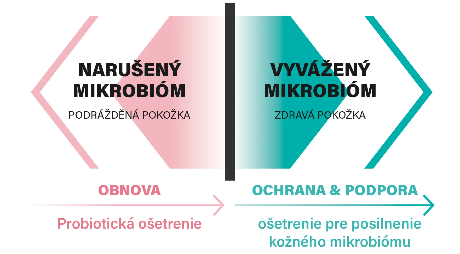 Grafika przedstawiająca r&oacute;wnowagę mikrobiomu sk&oacute;ry.