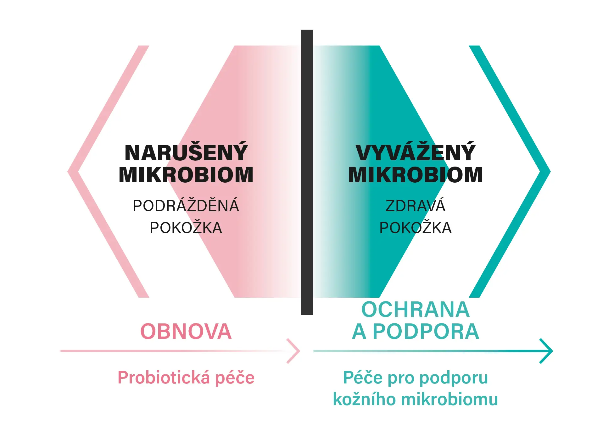 Grafika przedstawiająca r&oacute;wnowagę mikrobiomu sk&oacute;ry.